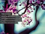 Maximise Woothemes